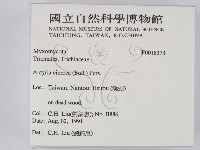館號:F0018373藏品圖，第2張
