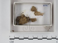 登錄號:F0018374藏品圖，第1張