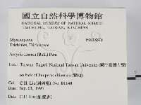 登錄號:F0018375藏品圖，第2張