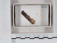 登錄號:F0018375藏品圖，第1張