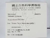 登錄號:F0018376藏品圖，第2張