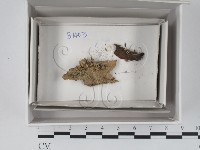 登錄號:F0018376藏品圖，第1張