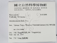 登錄號:F0018381藏品圖，第2張