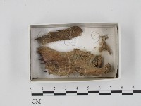 登錄號:F0018381藏品圖，第1張