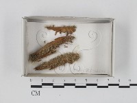 登錄號:F0018382藏品圖，第1張