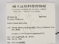 館號:F0018384藏品圖，第2張