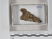 登錄號:F0018385藏品圖，第1張