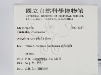 登錄號:F0018387藏品圖，第2張
