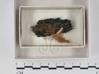登錄號:F0018387藏品圖，第1張