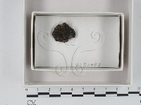 登錄號:F0018389藏品圖，第1張