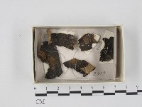 登錄號:F0018390藏品圖，第1張