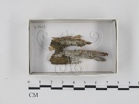 登錄號:F0018391藏品圖，第1張