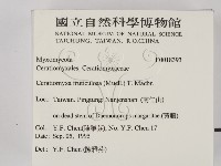 登錄號:F0018393藏品圖，第2張