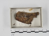 登錄號:F0018393藏品圖，第1張