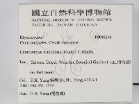 登錄號:F0018394藏品圖，第2張