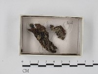 登錄號:F0018395藏品圖，第1張