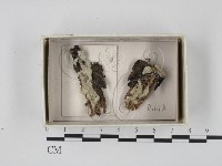 登錄號:F0018396藏品圖，第1張
