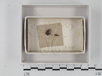 登錄號:F0018397藏品圖，第1張
