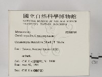 登錄號:F0018399藏品圖，第2張