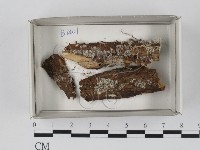 登錄號:F0018400藏品圖，第1張