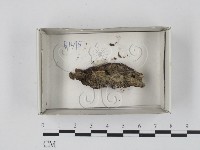 登錄號:F0018401藏品圖，第1張