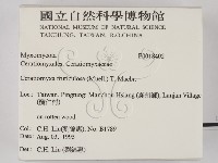 登錄號:F0018402藏品圖，第2張