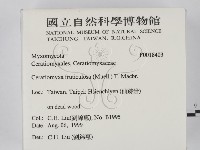 登錄號:F0018403藏品圖，第2張