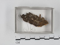 登錄號:F0018403藏品圖，第1張