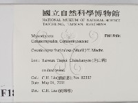 登錄號:F0018404藏品圖，第2張