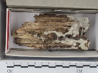 登錄號:F0018404藏品圖，第1張