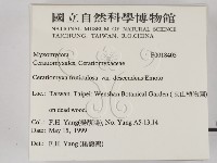 登錄號:F0018405藏品圖，第2張