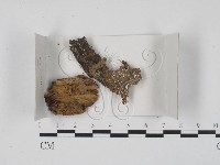 登錄號:F0018405藏品圖，第1張