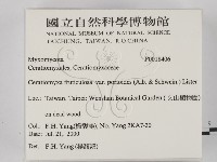 登錄號:F0018406藏品圖，第2張