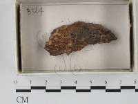登錄號:F0018407藏品圖，第1張