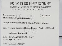 登錄號:F0018410藏品圖，第2張