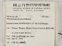 登錄號:F0018411藏品圖，第2張