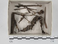 登錄號:F0018411藏品圖，第1張