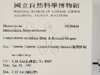 登錄號:F0018414藏品圖，第2張