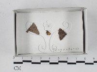 登錄號:F0018417藏品圖，第1張