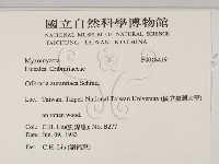 登錄號:F0018419藏品圖，第2張