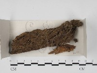 登錄號:F0018419藏品圖，第1張