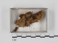 登錄號:F0018420藏品圖，第1張