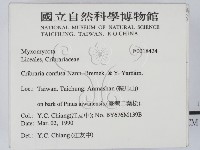 登錄號:F0018424藏品圖，第2張