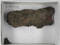 登錄號:F0018426藏品圖，第1張