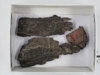 登錄號:F0018428藏品圖，第1張