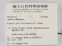 登錄號:F0018429藏品圖，第2張