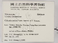 登錄號:F0018430藏品圖，第2張