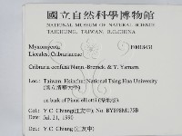 登錄號:F0018431藏品圖，第2張