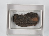 登錄號:F0018432藏品圖，第1張
