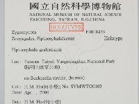 登錄號:F0018433藏品圖，第2張